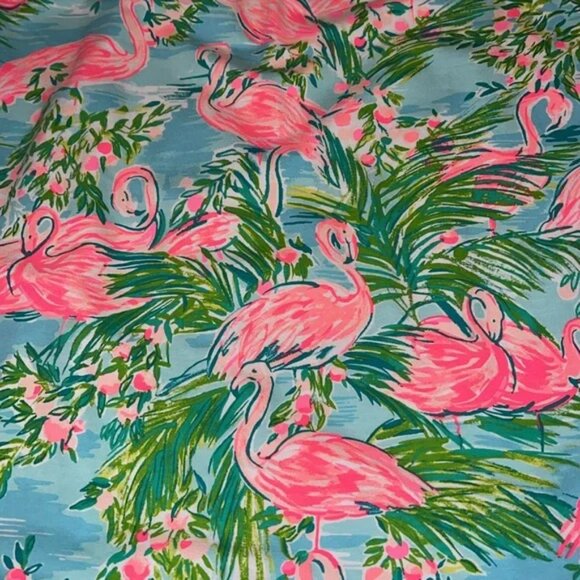 Lilly Pulitzer Adrianna dress in Multi Floridita - size Large - Picture 6 of 6